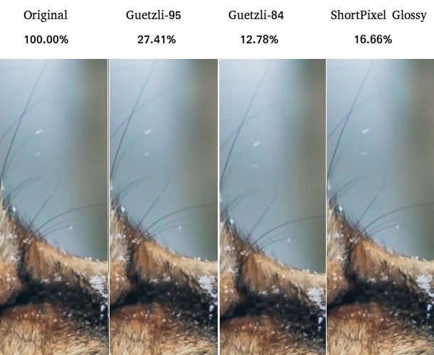 image 2 - guetzli glossy optimization comparison