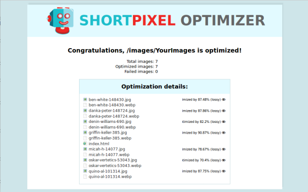 website optimizer results