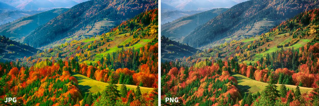 difference between jpg vs png image formats