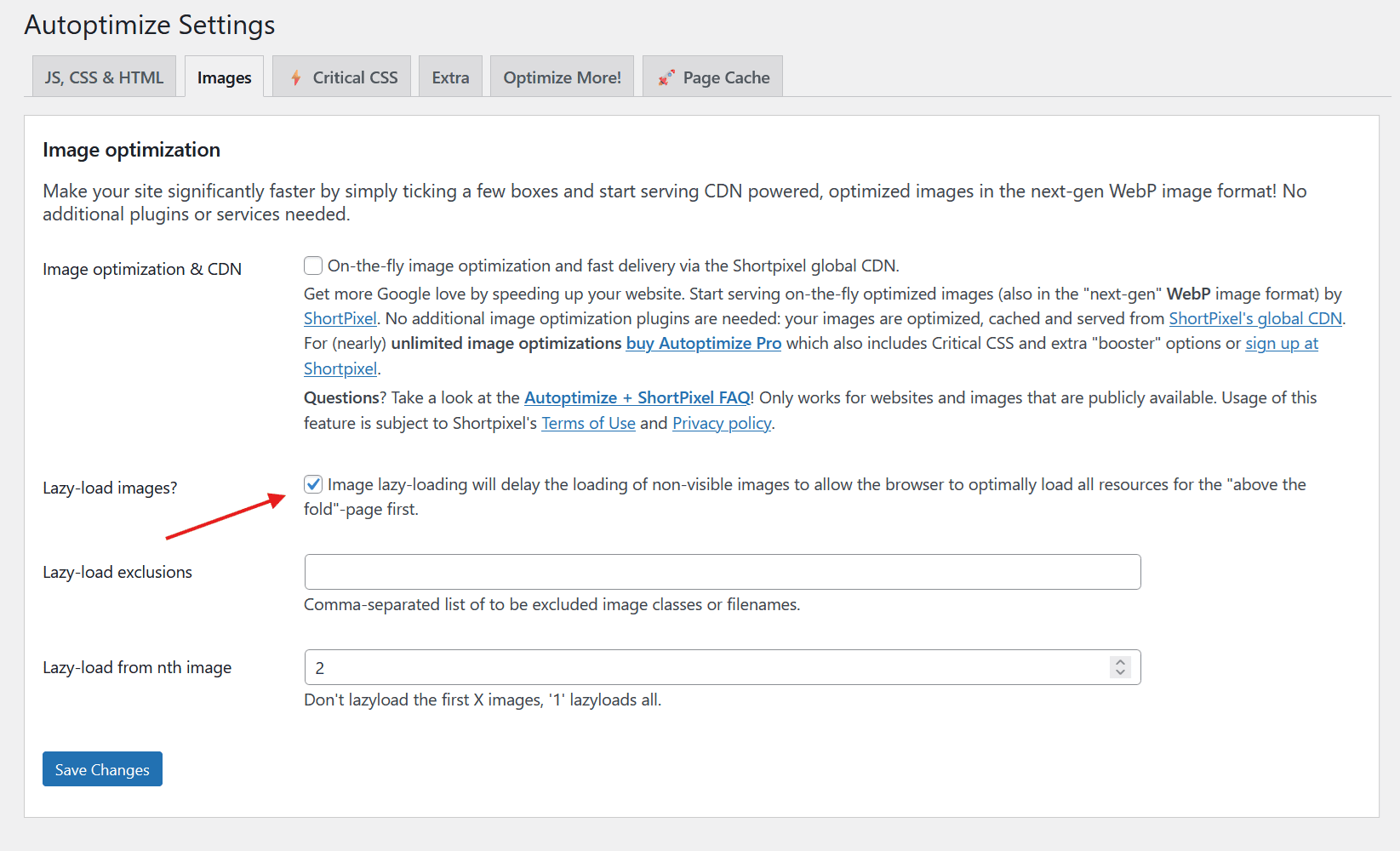 6 Benefits of Lazy Loading Images in WordPress autoptimize lady load