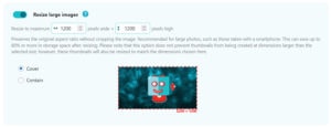 How To Resize a Picture: A Complete Step-by-Step Guide - ShortPixel Blog