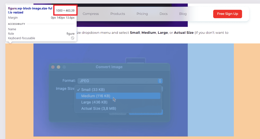 Best Image Size for Websites: Dimensions, Ratio, Weight max width image size