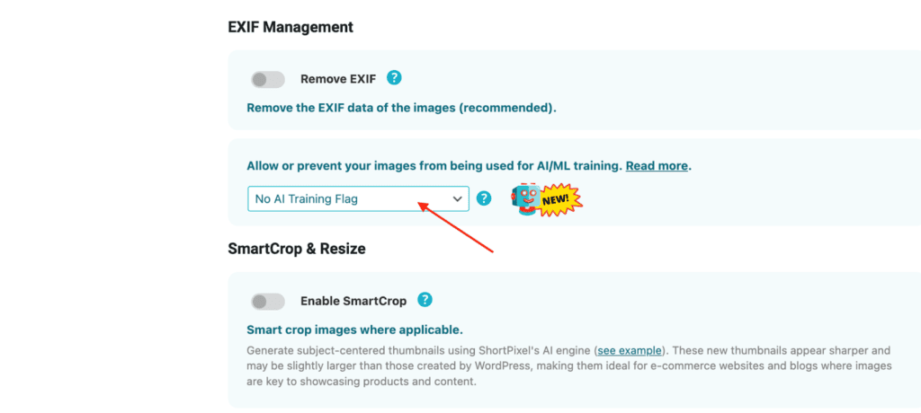 How to Prevent AI Models from Training on Your Website image 1