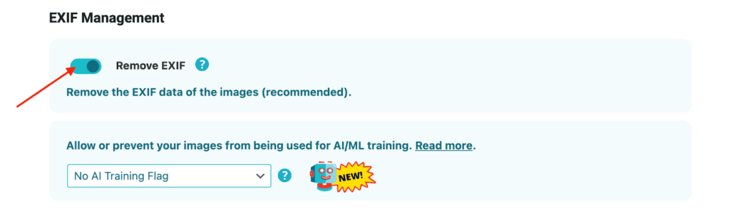 ICC Profiles, EXIF, and Privacy: What Metadata to Keep vs. Strip image 4