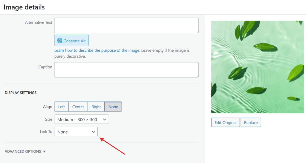 How to Fix Common Image Issues on an Older WordPress Blog link to none wordpress