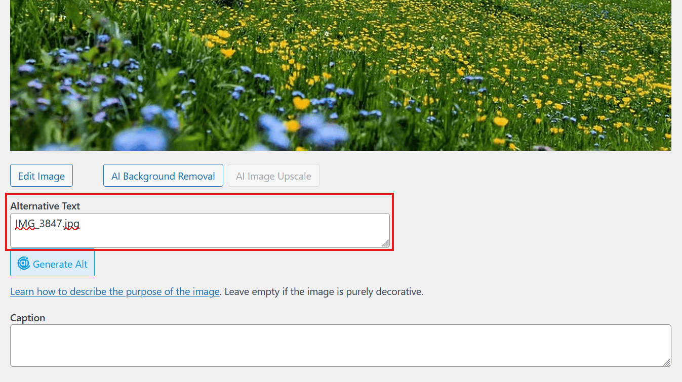 How to Fix Common Image Issues on an Older WordPress Blog wp bad alt