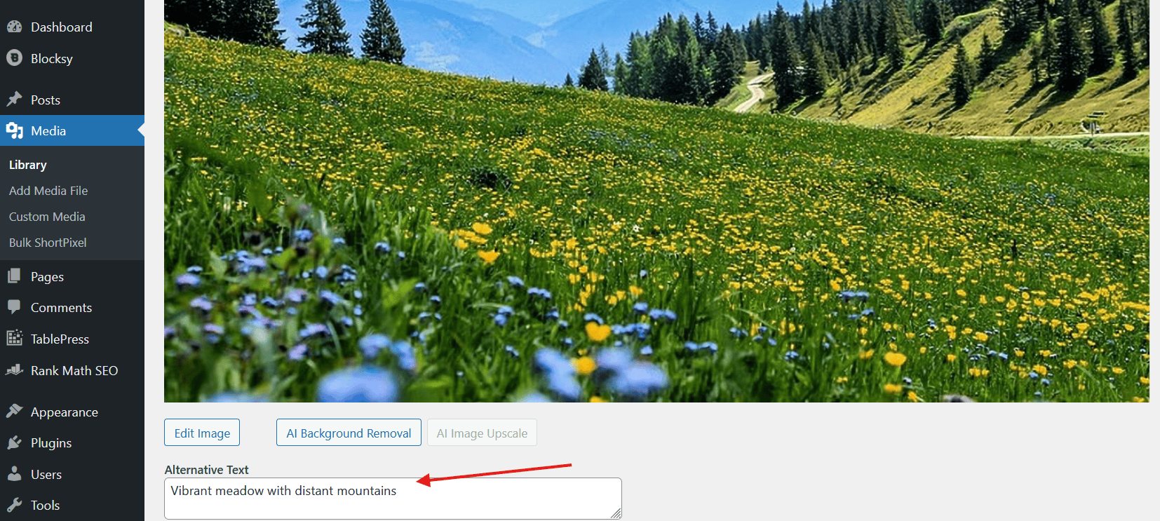 How to Fix Common Image Issues on an Older WordPress Blog wp proper alt