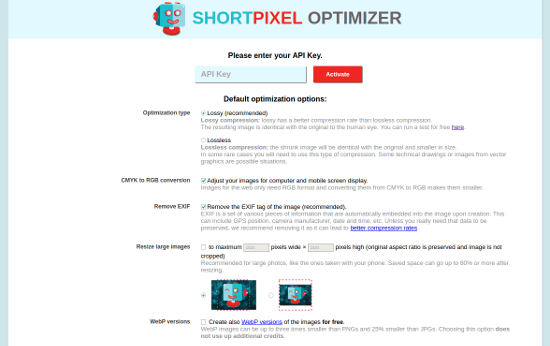 ShortPixel Web Optimizer - input API Key.
