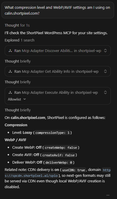 Example ShortPixel MCP conversation